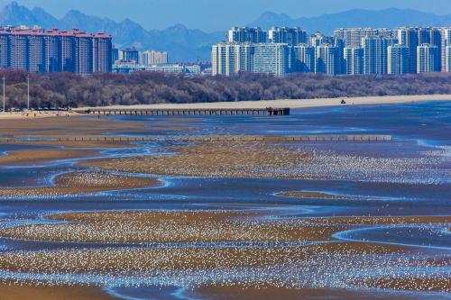 全国十大旅游度假区，二刷的魅力等你来发现  第7张