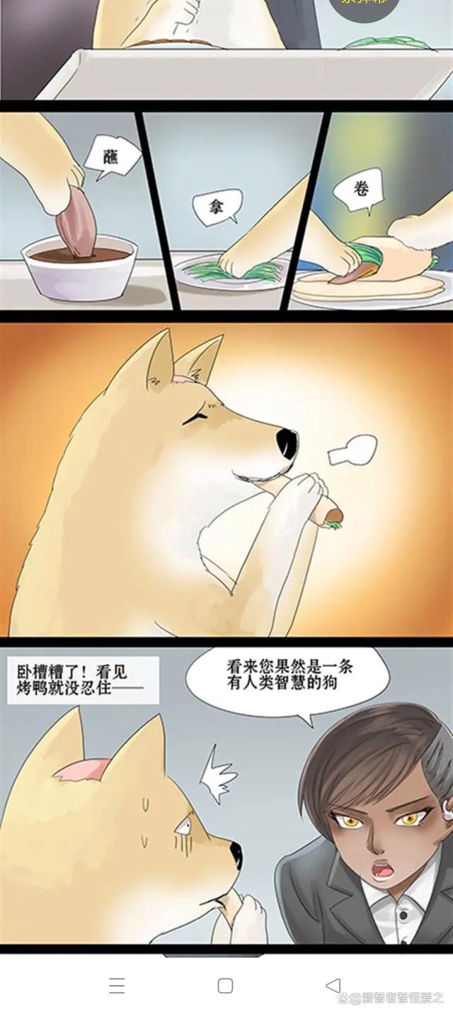 香港期期准资料大全_快看漫画挺不错  第13张