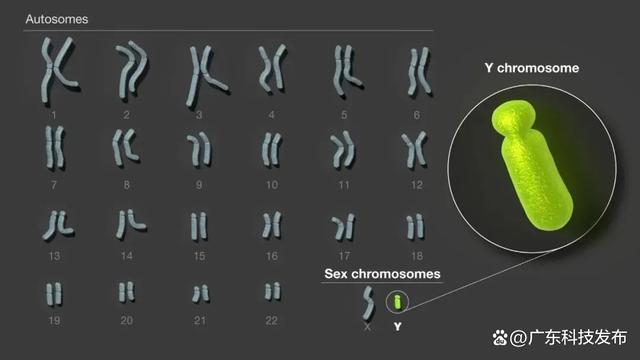 白小姐一肖一码准最新开奖结果_2023年国际十大科技新闻揭晓  第6张