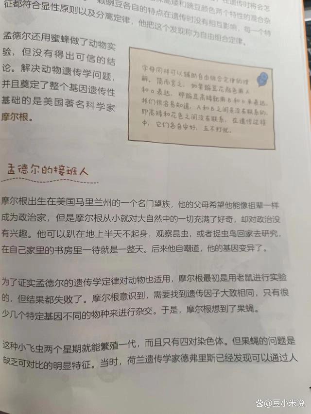 四肖三肖必开期期准精准_为什么孩子要上科学课？如何让孩子学习科学，培养科学思维  第9张