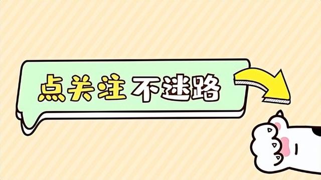 白小姐4肖必中一肖_探秘马尔代夫库达度私人岛：奢华度假胜地的极致享受