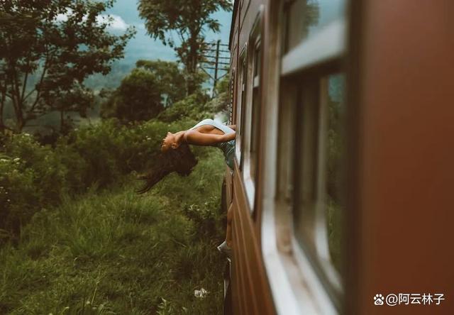 新澳门精准三肖三码中特_探索世界的魅力：开启新的冒险之旅  第6张