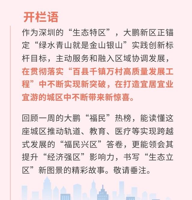 白小姐三肖三期开奖软件评价,大鹏一周“福民”热榜｜网友热评：港客每年都来买海味年货，迎春花市花样多  第1张