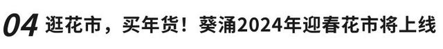 白小姐三肖三期开奖软件评价,大鹏一周“福民”热榜｜网友热评：港客每年都来买海味年货，迎春花市花样多  第8张