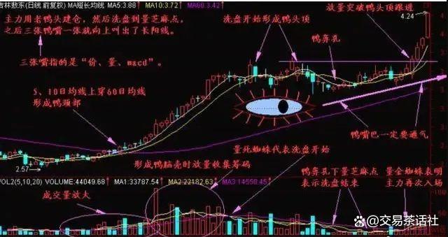 白小姐三肖三期开奖软件评价_炒股干货合集，收藏备用！  第2张