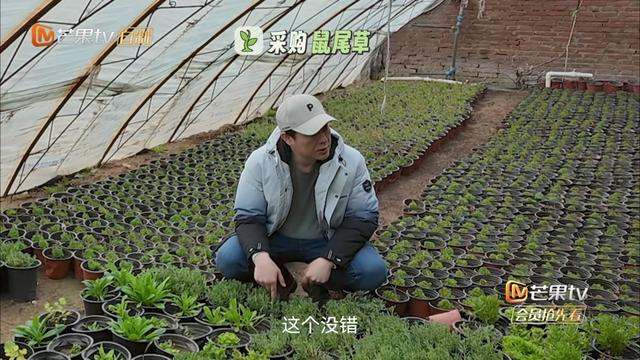 新澳资料大全正版2024_张颂文综艺首秀！三大看点，让人拍案叫绝，芒果台又拿到了王炸