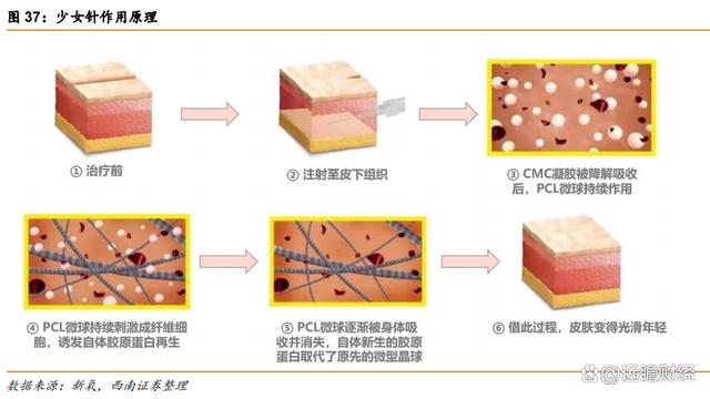 澳门一肖一码必中一肖一码,医药工业创新转型，华东医药：医美及工业微生物，未来发展如何？  第44张