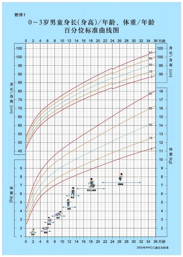 管家婆精准资料马会传真,定期体检、科学喂养！助力婴幼儿生长发育  第9张