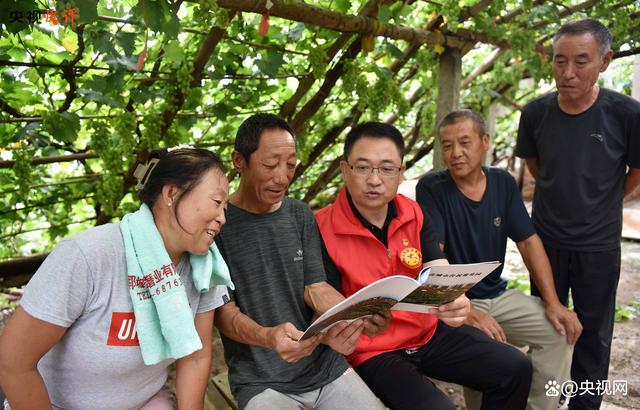 二四六香港资料期期准现场开码,「央视快评」把主题教育探索的好经验好做法转化为长效机制  第2张