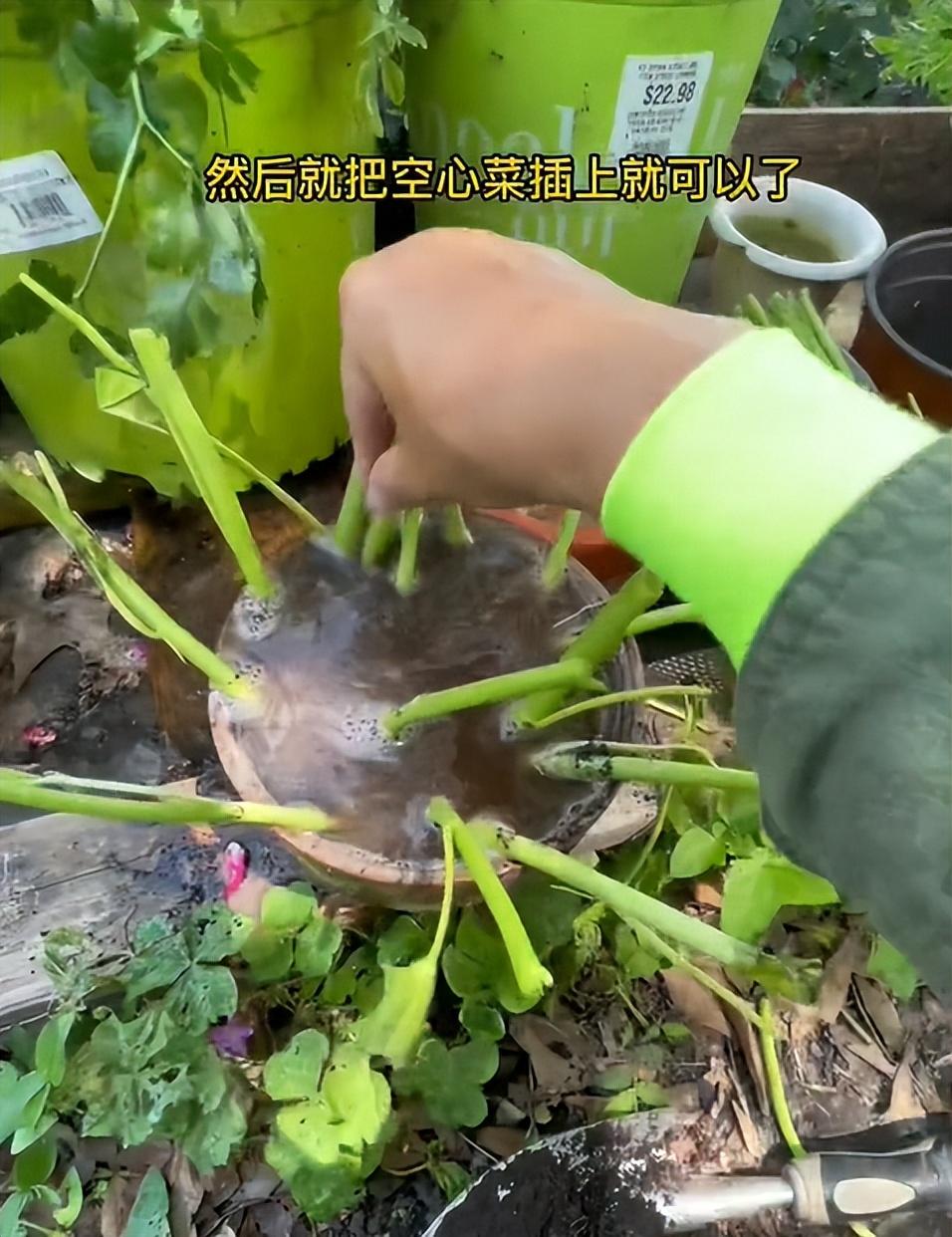 新奥资料免费精准2024_2013年前，广东茂名一女子离婚带俩娃，远嫁美国高富帅，成网络红人  第35张