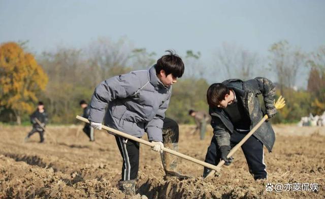 澳门天天开奖结果出来_2024最火的四大综艺，浪姐上榜，《歌手》屈居第二，第一实至名归  第3张