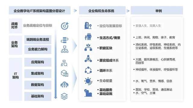 新奥彩2024年免费资料查询_数字实战｜数字化IT建设与企业战略同频，做正确的事