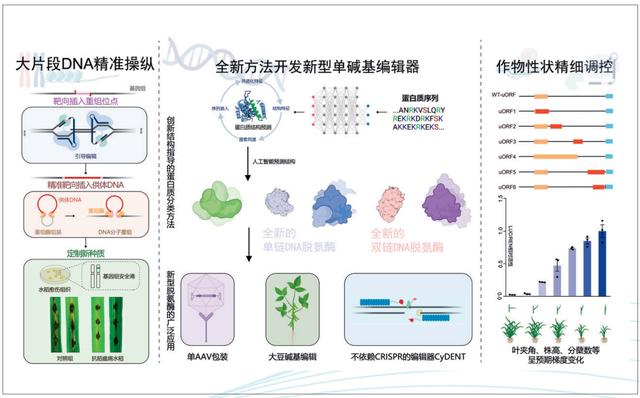 2024新澳门资料大全_2023年度中国科学十大进展发布  第11张