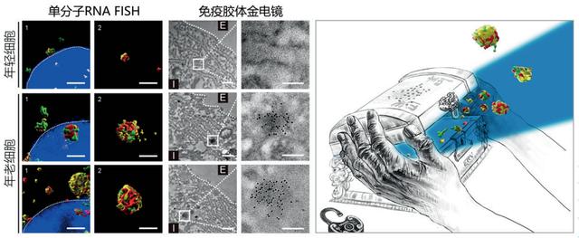 2024新澳门资料大全_2023年度中国科学十大进展发布  第8张