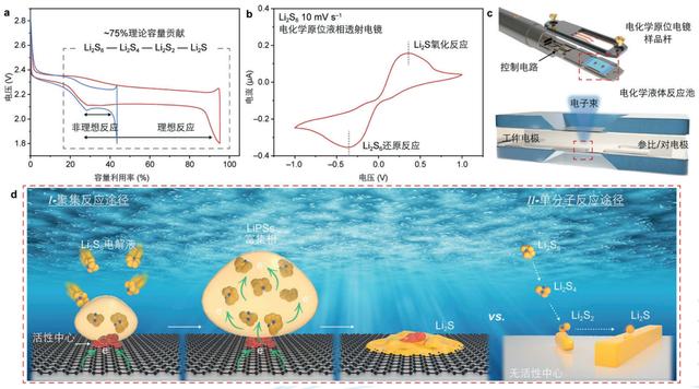 2024新澳门资料大全_2023年度中国科学十大进展发布  第16张