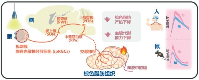 2024新澳门资料大全_2023年度中国科学十大进展发布  第15张