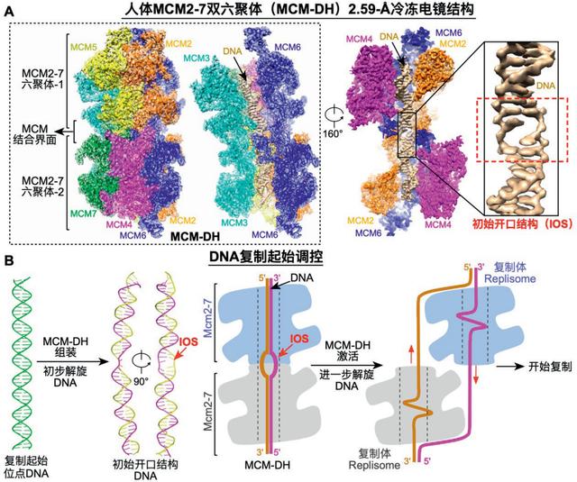 2024新澳门资料大全_2023年度中国科学十大进展发布  第12张