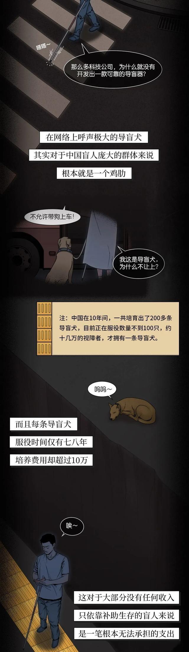 新澳2024今晚开奖资料,“盲人”的世界是什么样的？漫画科普：并不是一片漆黑