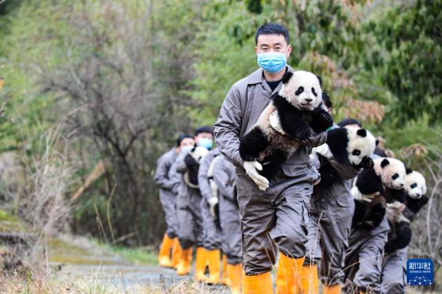 新奥天天免费资料单双,国内新闻照片一周精选