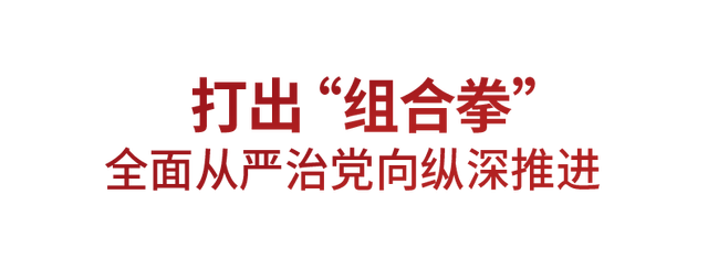 2024新澳免费资料大全_时政微观察丨将自我革命进行到底