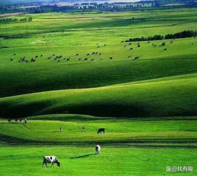 一白小姐一一肖必中特_旅游推荐排行榜前十名  第5张