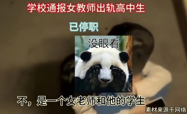 2024新澳门精准正版资料大全_上海女教师出轨16岁学生被停职，网友吃瓜，法学生忙着复习知识点  第2张