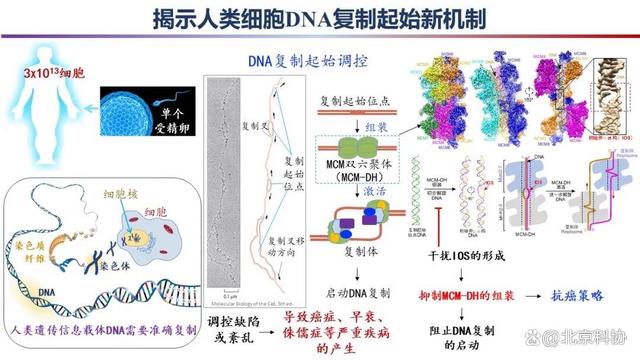 白小姐一肖一码今晚开奖,重磅！2023年度中国科学十大进展发布