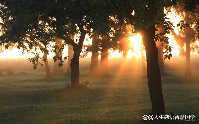 2024新澳门正版全年免费资料,生活告诉我  第2张