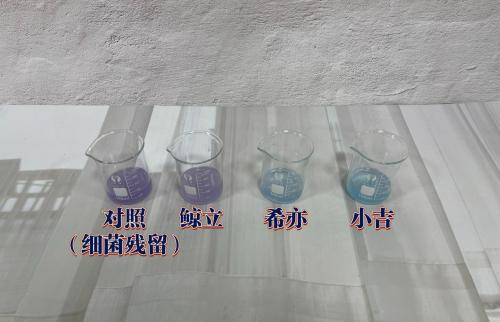 澳门王中王100期期准_三大爆款婴儿洗衣机，希亦、小吉、鲸立哪款最值得入手？