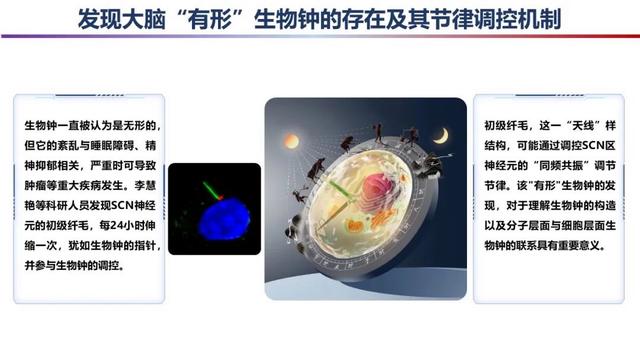 白小姐一肖一码2024年_2023年度“中国科学十大进展”发布  第3张