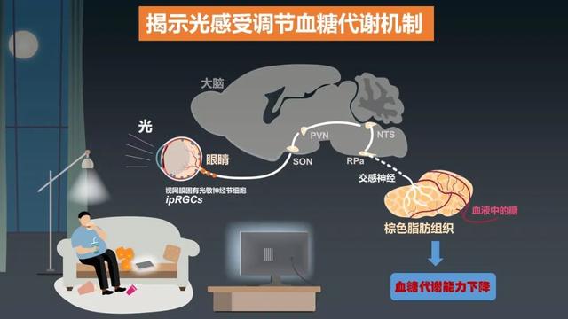 白小姐一肖一码2024年_2023年度“中国科学十大进展”发布