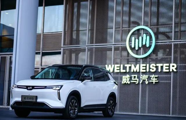 新奥门2024年资料大全官家婆,新能源汽车10大品牌，谁是你心中NO.1？