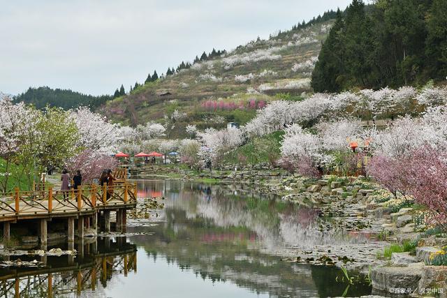 2004新澳门天天开好彩大全,春季旅游最佳去处国内  第2张