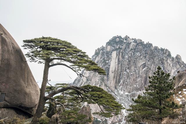 2004新澳精准资料免费提供_国内适合3天旅游的地方，精选景点推荐，让您畅游无忧！  第5张