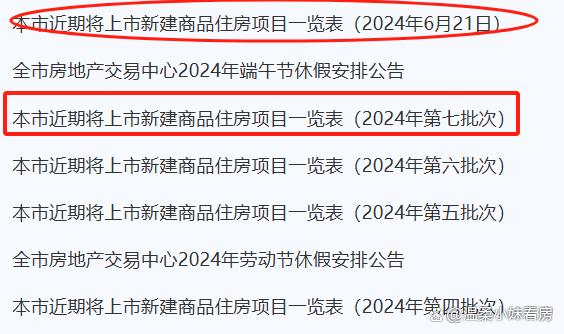 新奥门资料大全正版资料2024年免费下载_上海新房要搞突击了