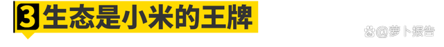 2024澳门资料免费网站大全正版2024_小米汽车，1999？  第20张