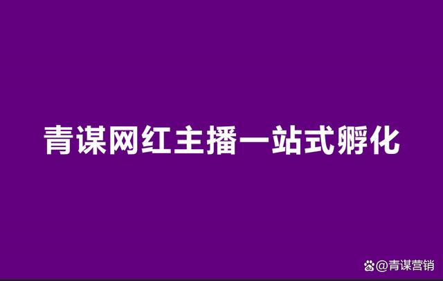 2024新奥资料免费精准051,谁说“无颜值”不能成就网红主播了？  第1张