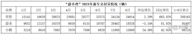 24年新澳彩资料免费长期公开_造车新势力大变局