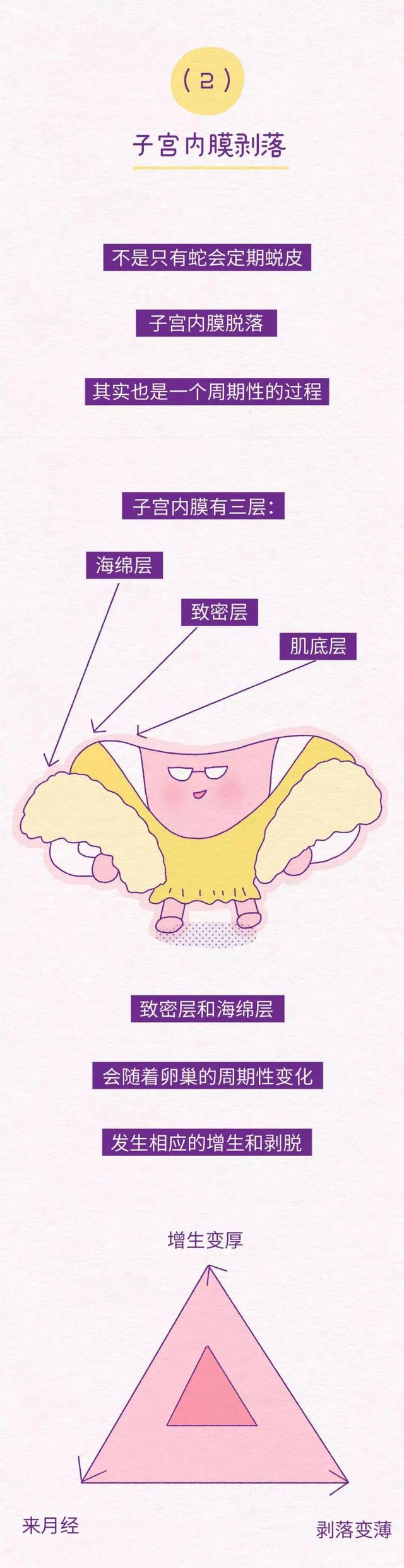 二四六王中王香港资料_姨妈巾上的“血块”，是咋来的？（漫画科普）或不是体寒