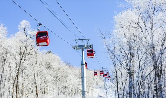 2024年新澳门正版资料大全免费_北大湖“五大看点”燃情新雪季  第2张