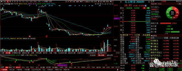 四肖三肖必开期期准精准_股票市场入门知识