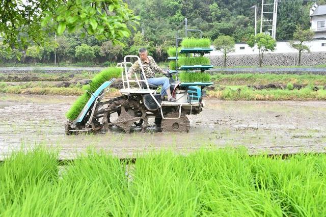 新奥门资料大全正版资料2024年免费,时政微观察丨“头等大事”的十年“功”与“略”