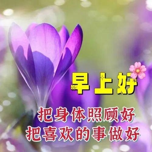 管家婆白小姐开奖记录,早安健康寄语：精选金句，献给追求生活品质的你