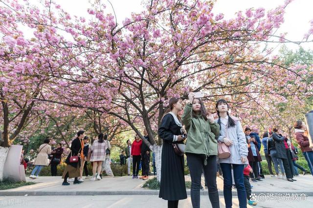 澳门彩今晚必中一肖一码,探秘985大学特殊班级：除了武汉大学的“雷军班”，还有哪些班？