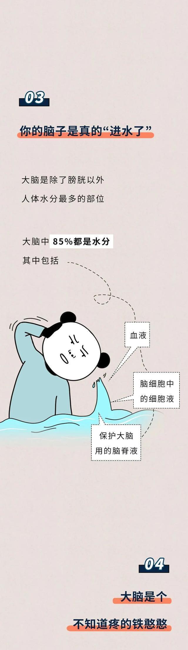 77778888管家婆必开一肖,漫画盘点：关于人体的18个生理知识，未成年人请自行绕道