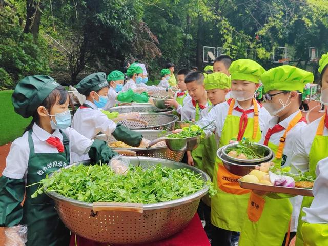 澳门王中王必中一肖一码,我市中小学开展形式多样的劳动教育活动  第2张