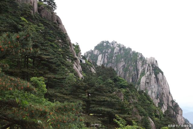 澳门四肖八码期期准精选资料软件,旅游必去十大景点，一生必去！中国十大绝美旅游胜地盘点！