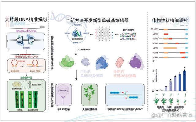 2024新澳免费资科五不中料,2023年度中国科学十大进展发布