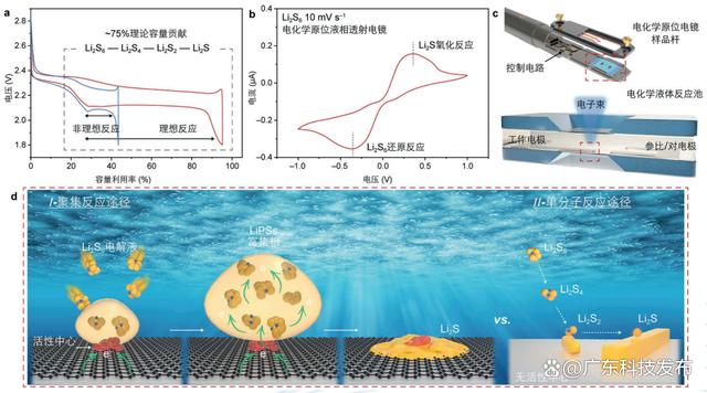 2024新澳免费资科五不中料,2023年度中国科学十大进展发布  第11张