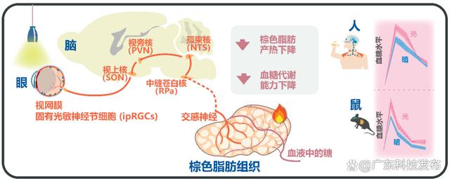 2024新澳免费资科五不中料,2023年度中国科学十大进展发布  第10张